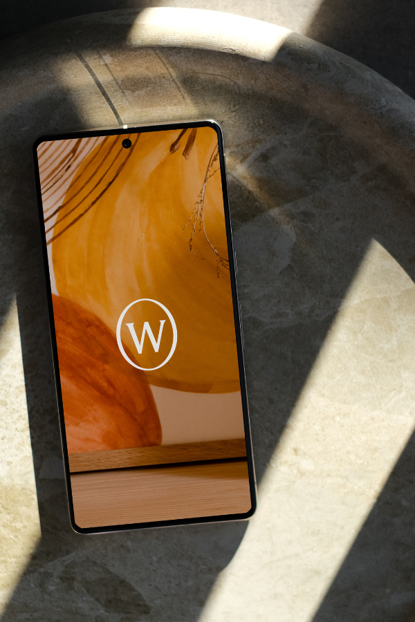 vr on a phone