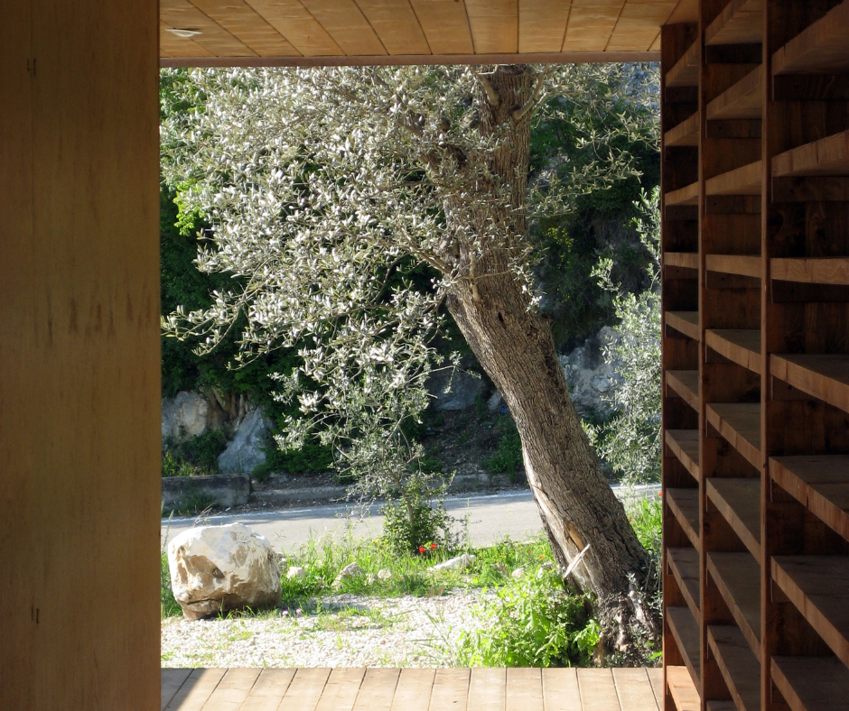 silent retreats in a forested area with olive trees just beyond built-in bookshelves