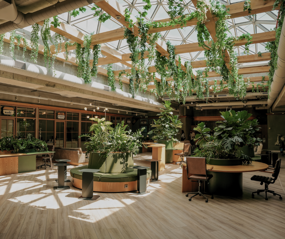 coworking space with large skylights and lots of plants