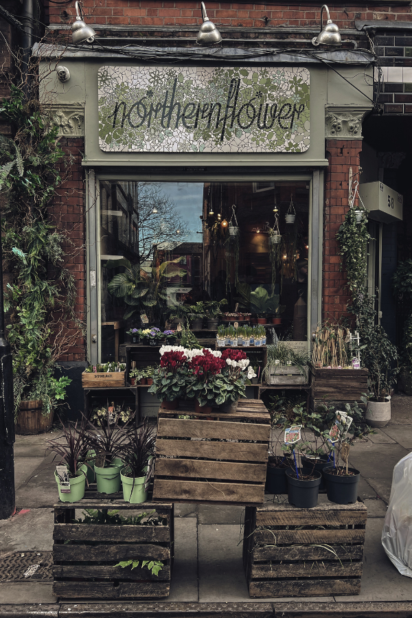 small business storefront (plants)