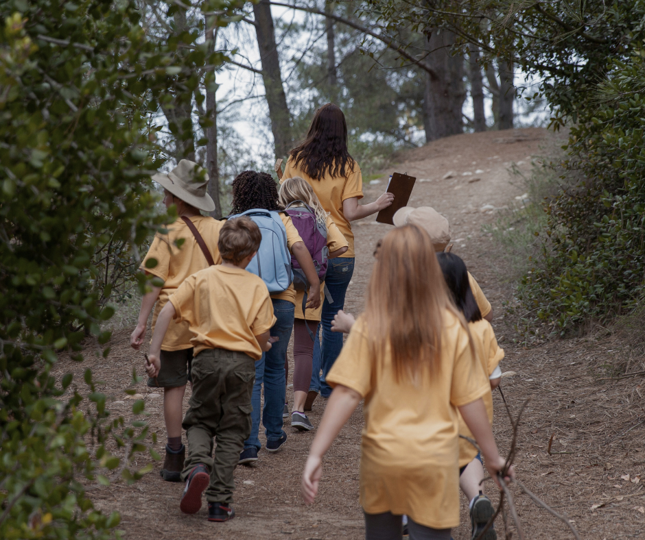 kids at summer camp in the forest