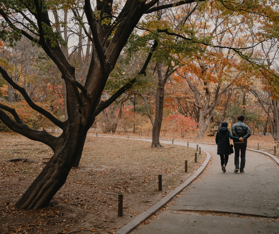 couple on a fall date walking through colorful leaves