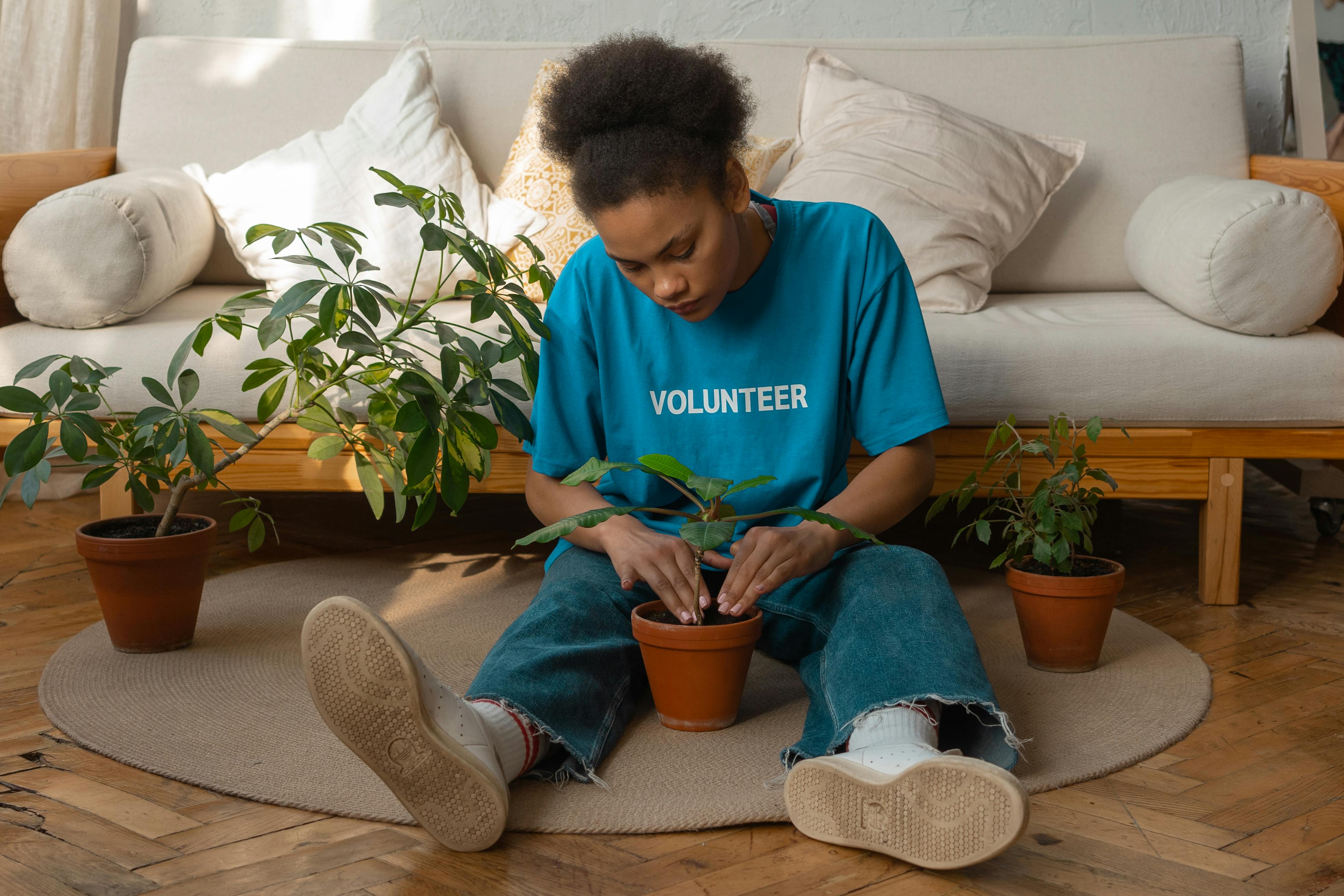 A person wearing a blue t-shirt with 'VOLUNTEER' printed on it, tending to a small potted plant on a rug.