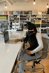an interior designer sits with her dog in front of her laptop