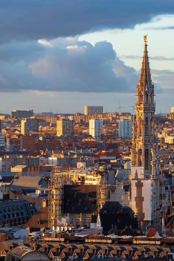 Brussels cityscape at golden hour with the Gothic tower of Brussels Town Hall rising above historic rooftops.